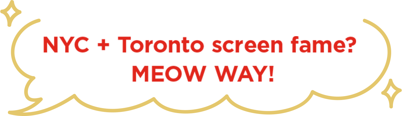 NYC+Toronto screen fame? MEOW WAY!