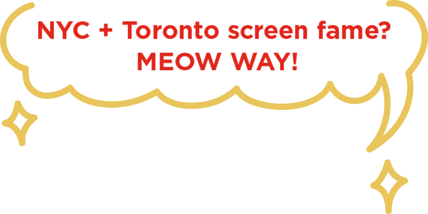 NYC+Toronto screen fame? MEOW WAY!