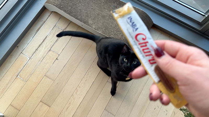 Vesper_ NYC_Queens_NY