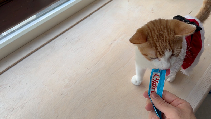 Charlie_Kiki_Ali_Brooklyn,NY