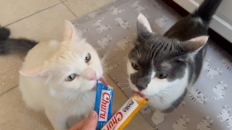 Eska_Desna_Brooklyn,NY